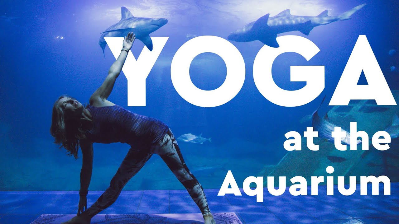 Baby & Me Yoga - Georgia Aquarium